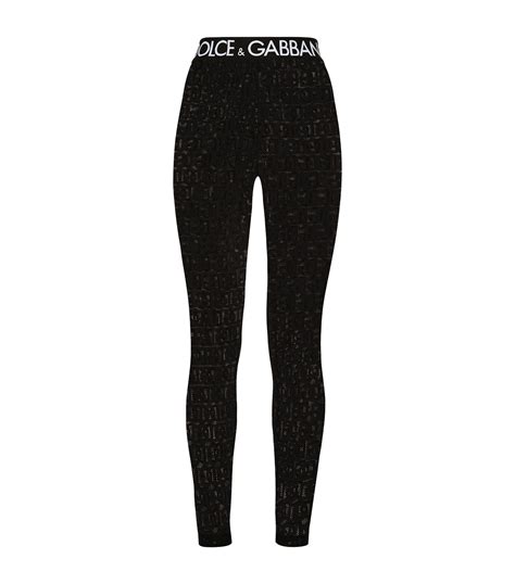 dolce gabbana leggings women's.